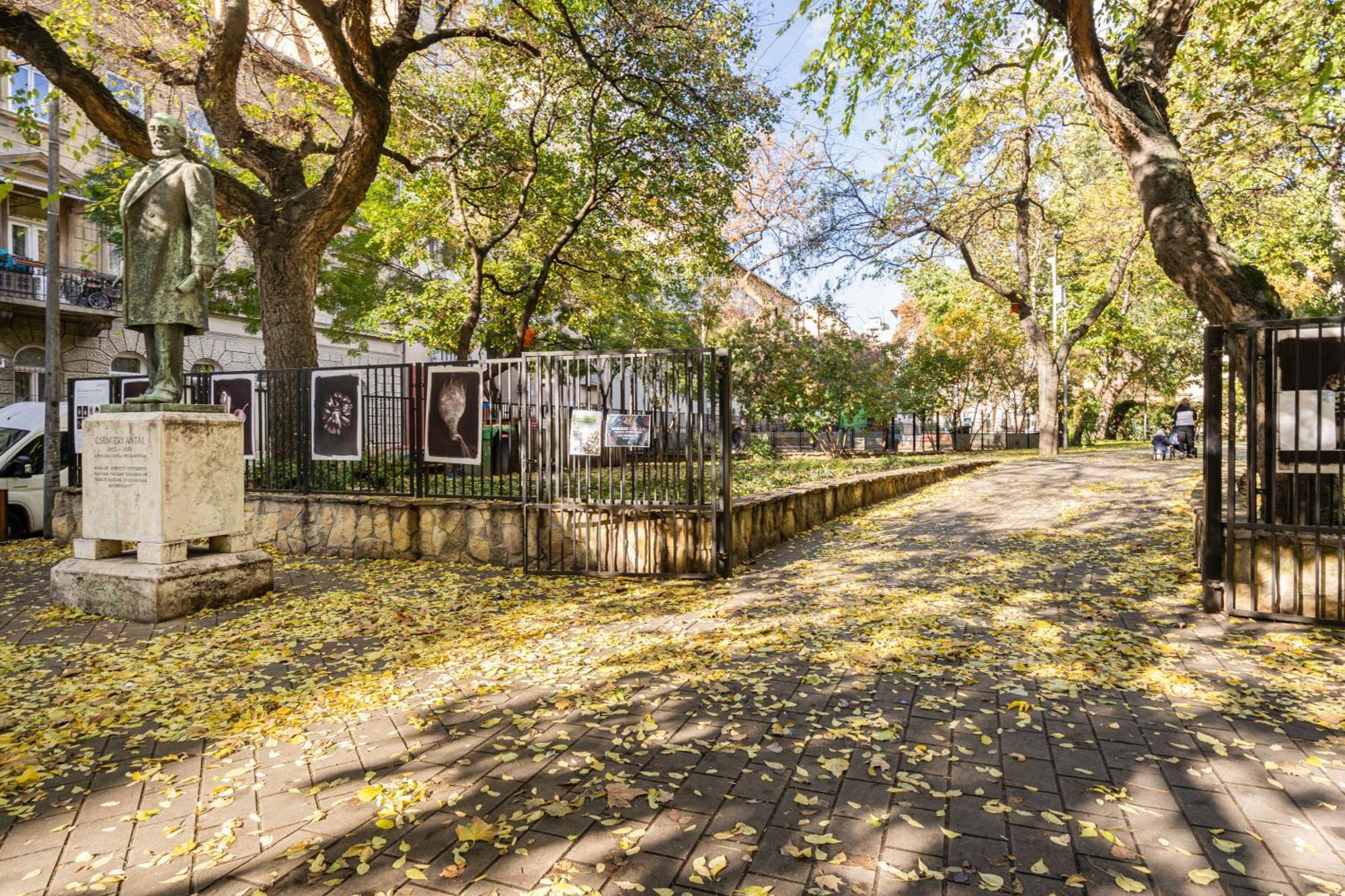 Myelegance Downtown Apartment Free Parking Budapeszt Zewnętrze zdjęcie